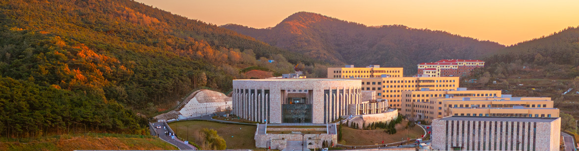 Dalian Neusoft University of Information