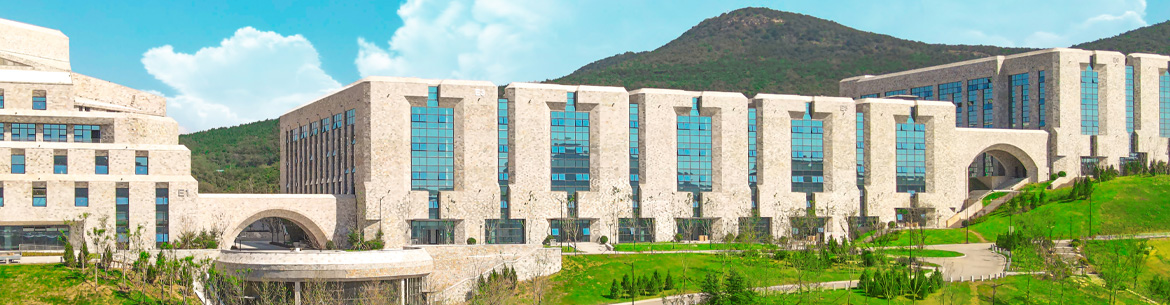 Dalian Neusoft University of Information
