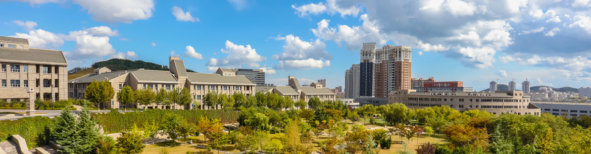 Dalian Neusoft University of Information