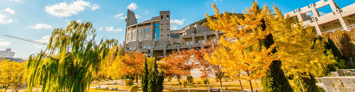 Dalian Neusoft University of Information